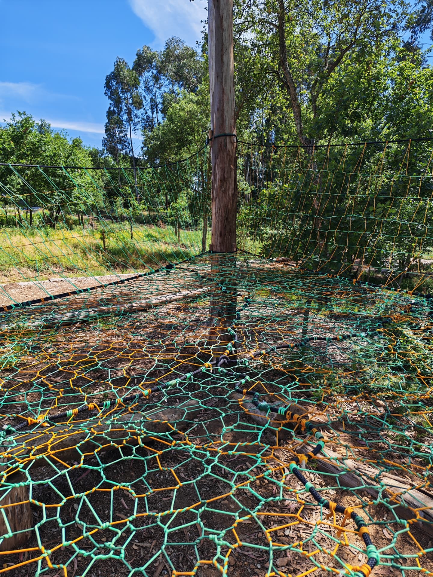 Large hand-woven TreeNet installation suspended between mature oak trees in a sunlit garden